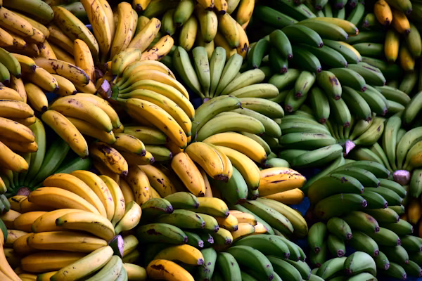 Banana Flour Production — Export Feasibility image 2