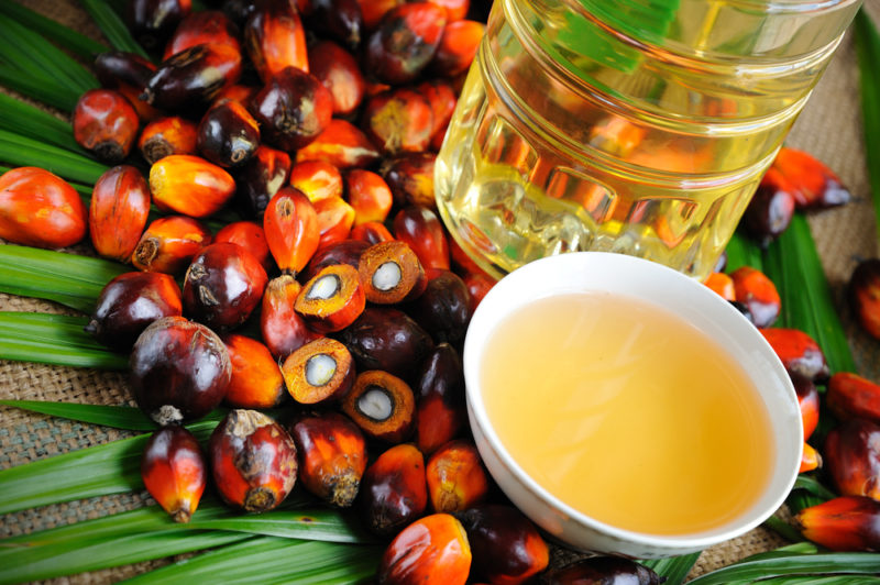 Oil Palm Processing (CADS Ltd) image 1
