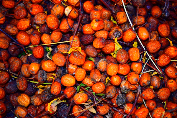 Oil Palm Processing (CADS Ltd) image 2